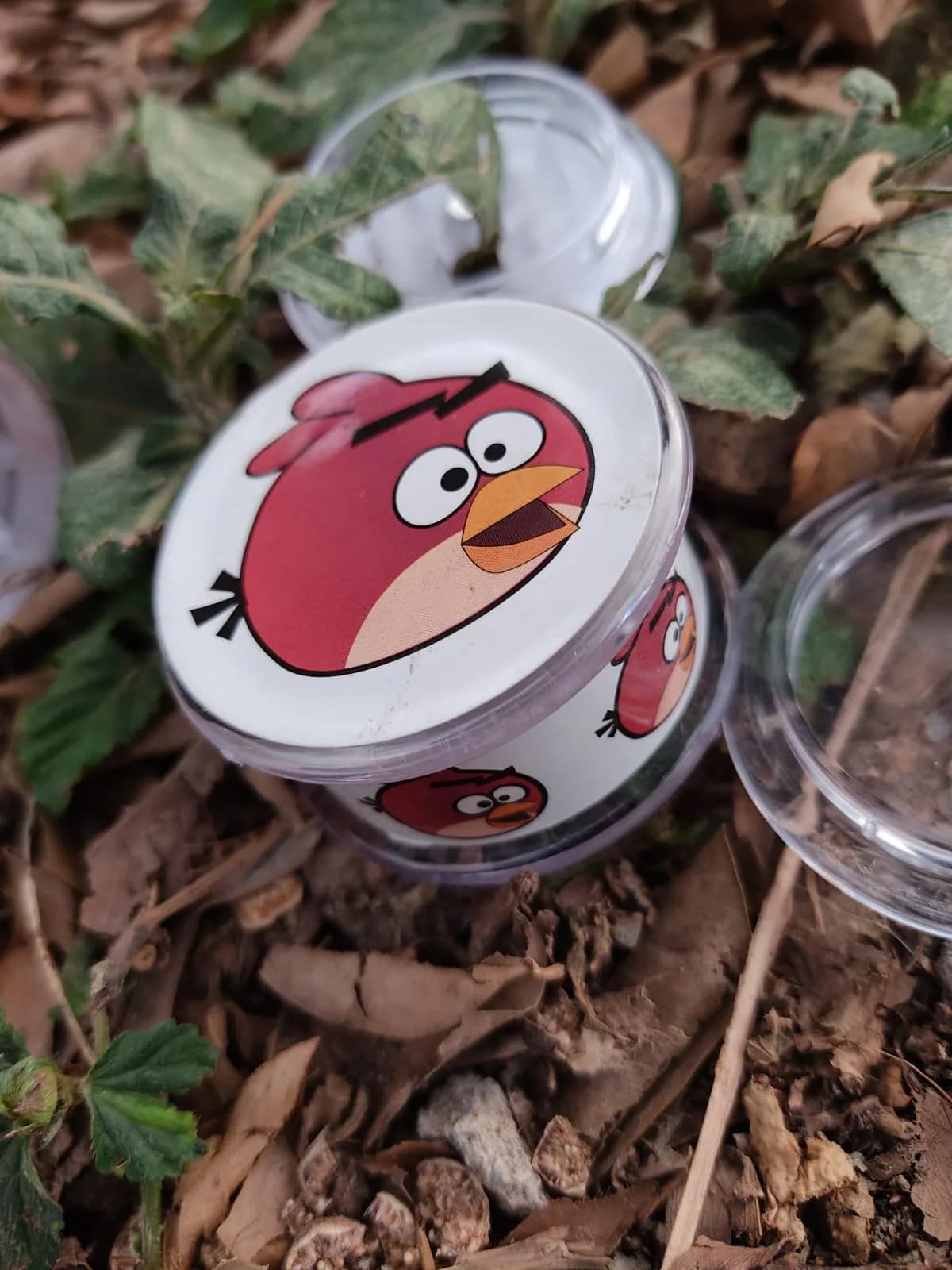 Rascadora Pasta Diseños